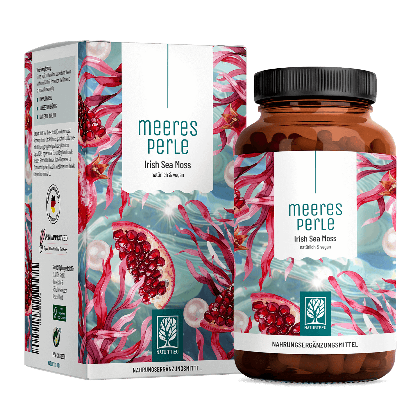 Meeresperle Irish Sea Moss Titelbild