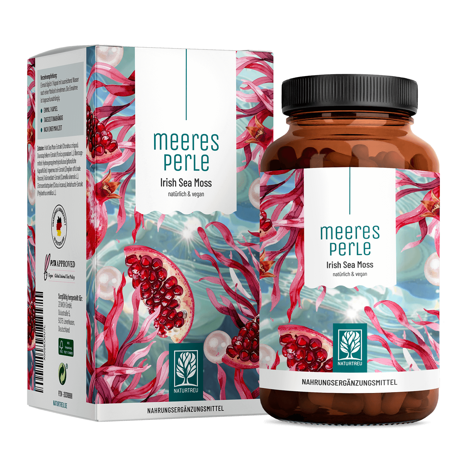 Meeresperle Irish Sea Moss Titelbild