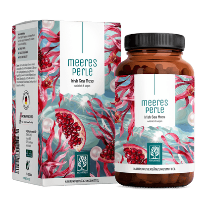 Meeresperle Irish Sea Moss Titelbild