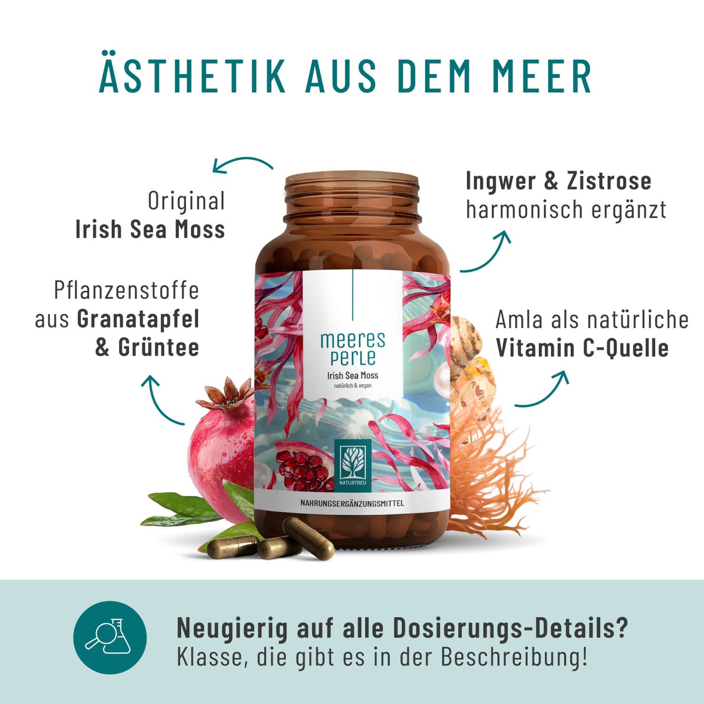 Meeresperle Irish sea Moss Inhaltsstoffe