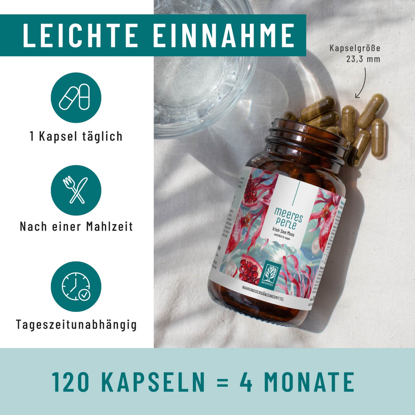Meeresperle Irish Sea Moss Einnahme