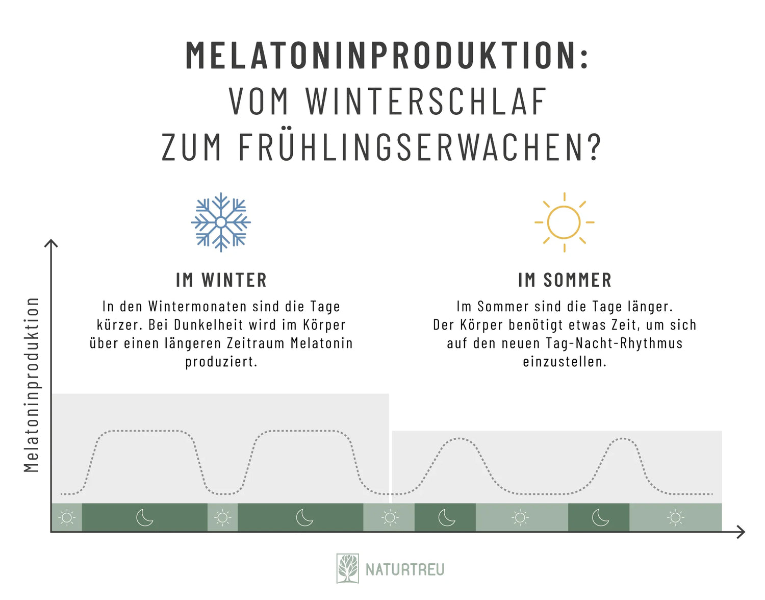 Melatonin steuert den natürlichen Tag-Nacht-Rhythmus