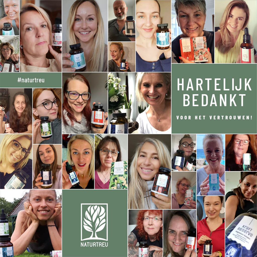 Morgenritual Stoffwechsel-Routine NL Testimonial