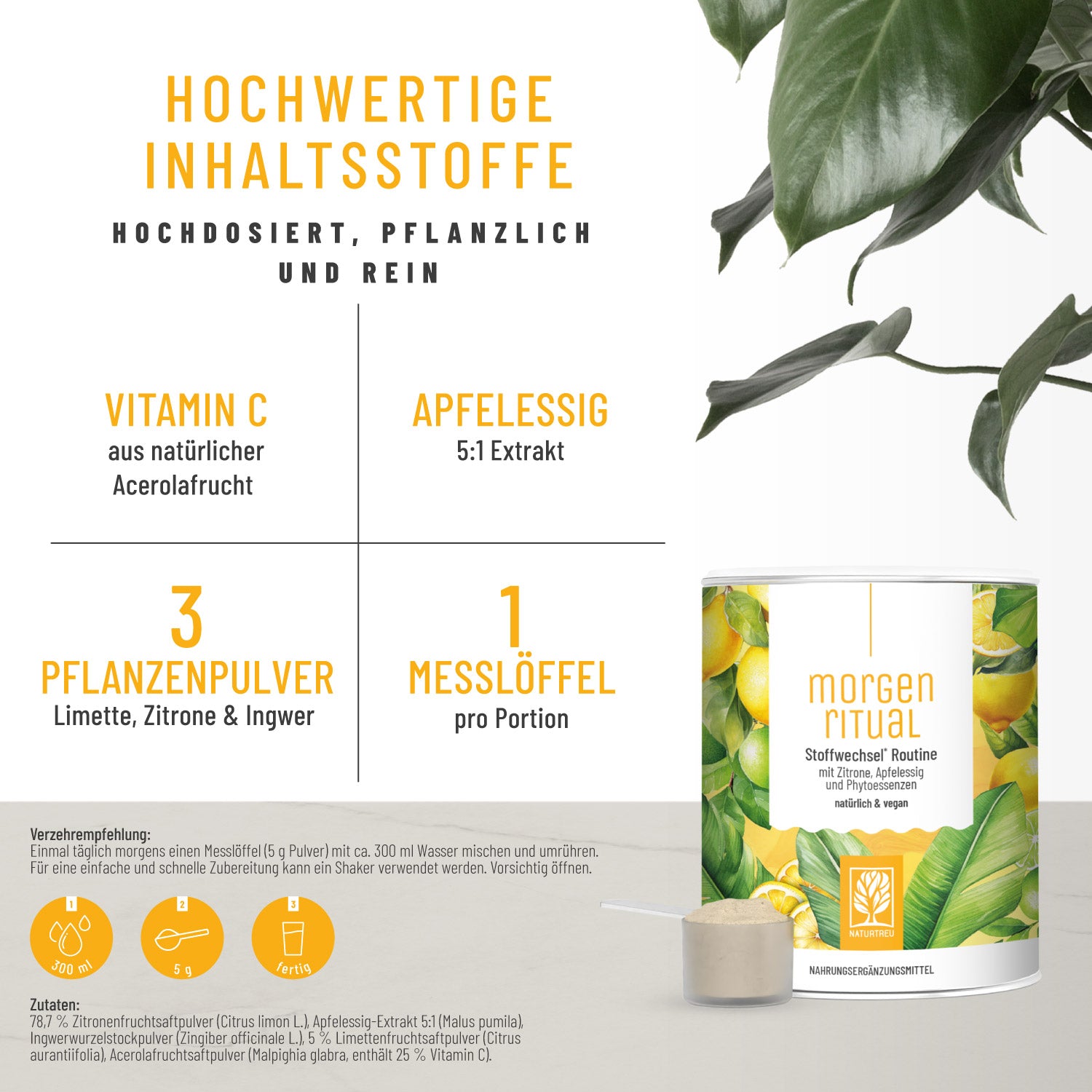 Morgenritual Stoffwechsel Routine Hochw Inhaltsstoffe 