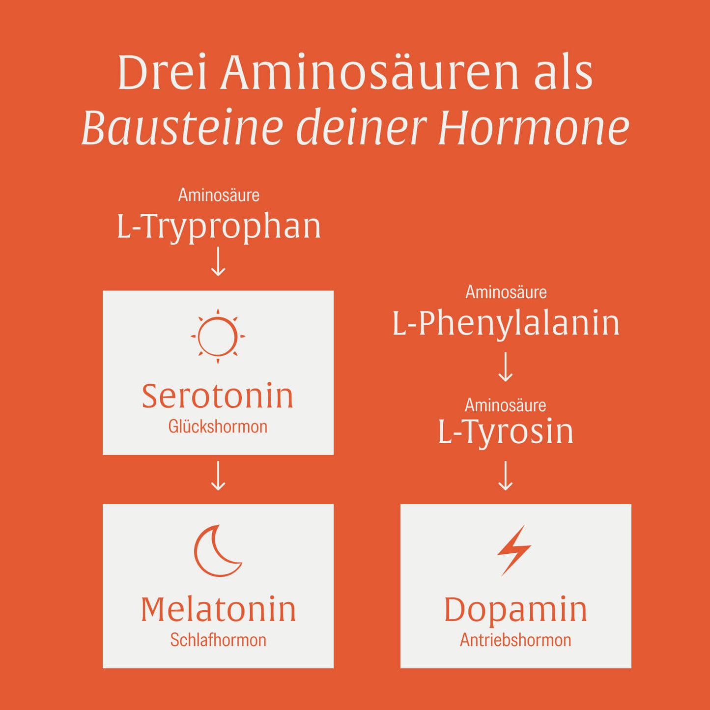Motivationskick: L-Tyrosin-Komplex mit L-Tryptophan & L-Phenylalanin