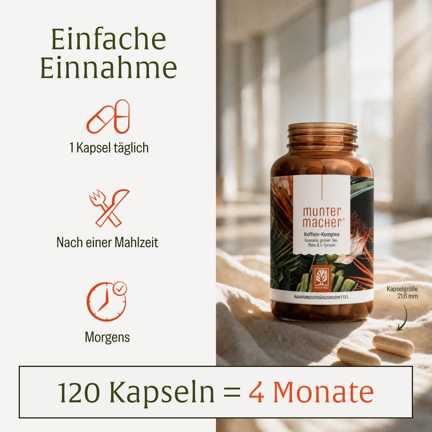 Muntermacher: Koffein-Komplex mit Guarana & Mate