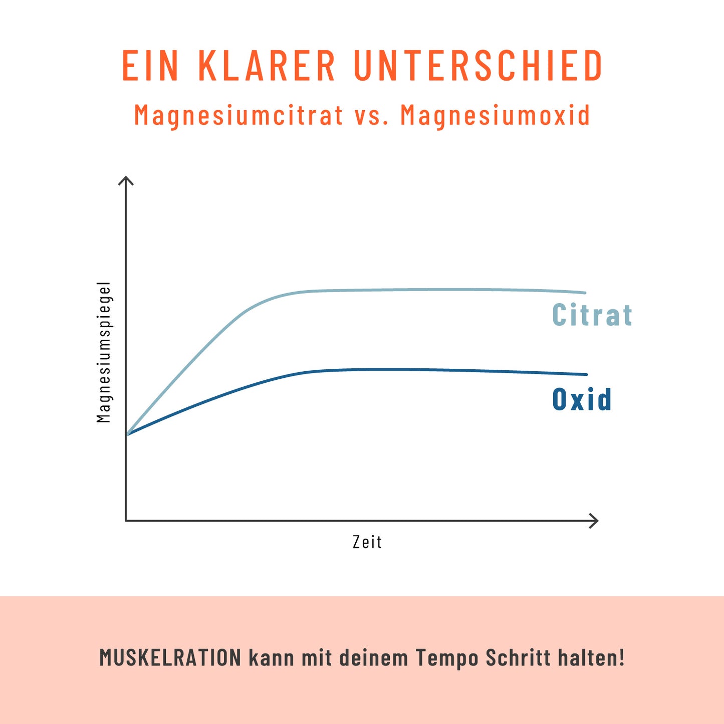 Muskelration Magnesiumcitrat L-Glutamin Amazon Unterschied
