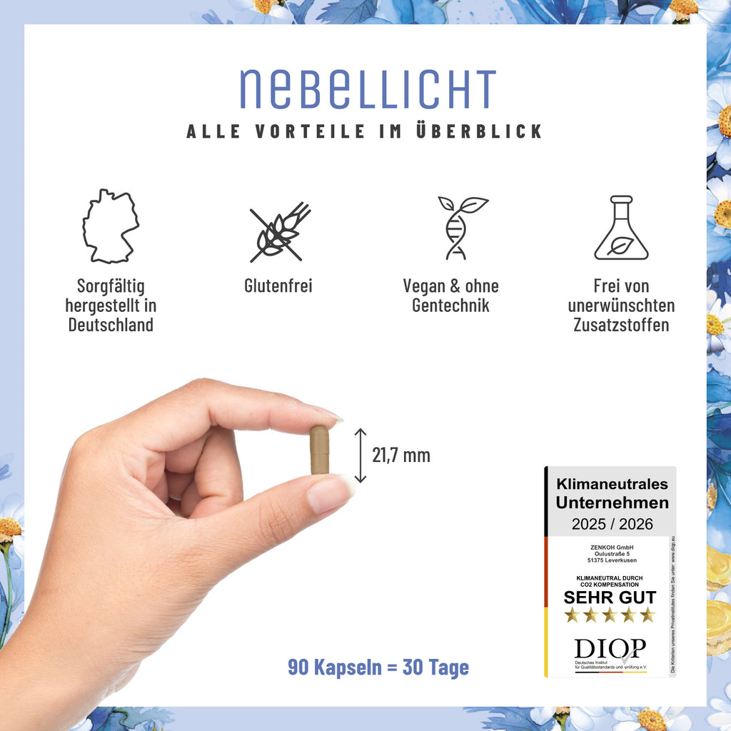 Nebellicht Mutterkraut Magnesium Ingwer Q10 Vitamin B2-Komplex Alle Vorteile im Ueberblick