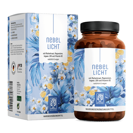 Nebellicht Mutterkraut Magnesium Ingwer Q10 Vitamin B2-Komplex Titelbild