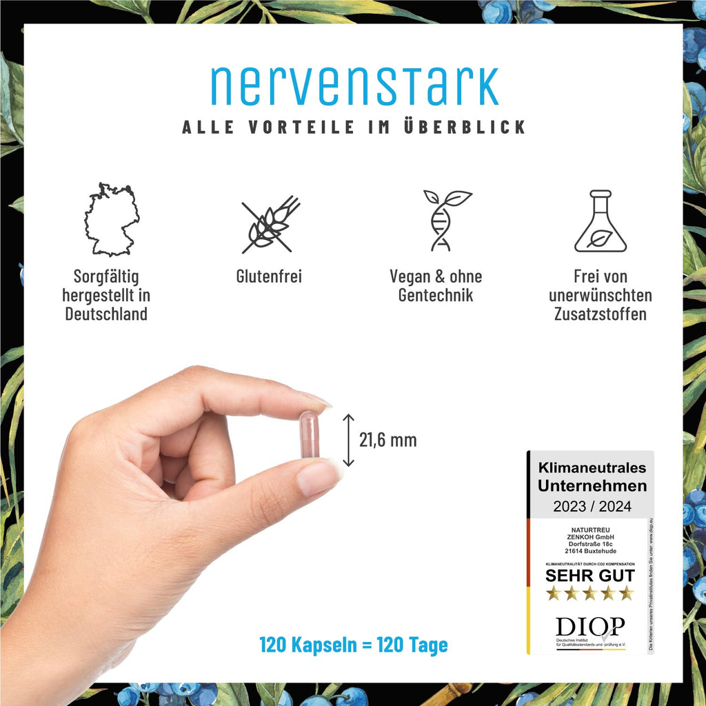 Nervenstark Vitamin-B-Komplex Alle Vorteile 