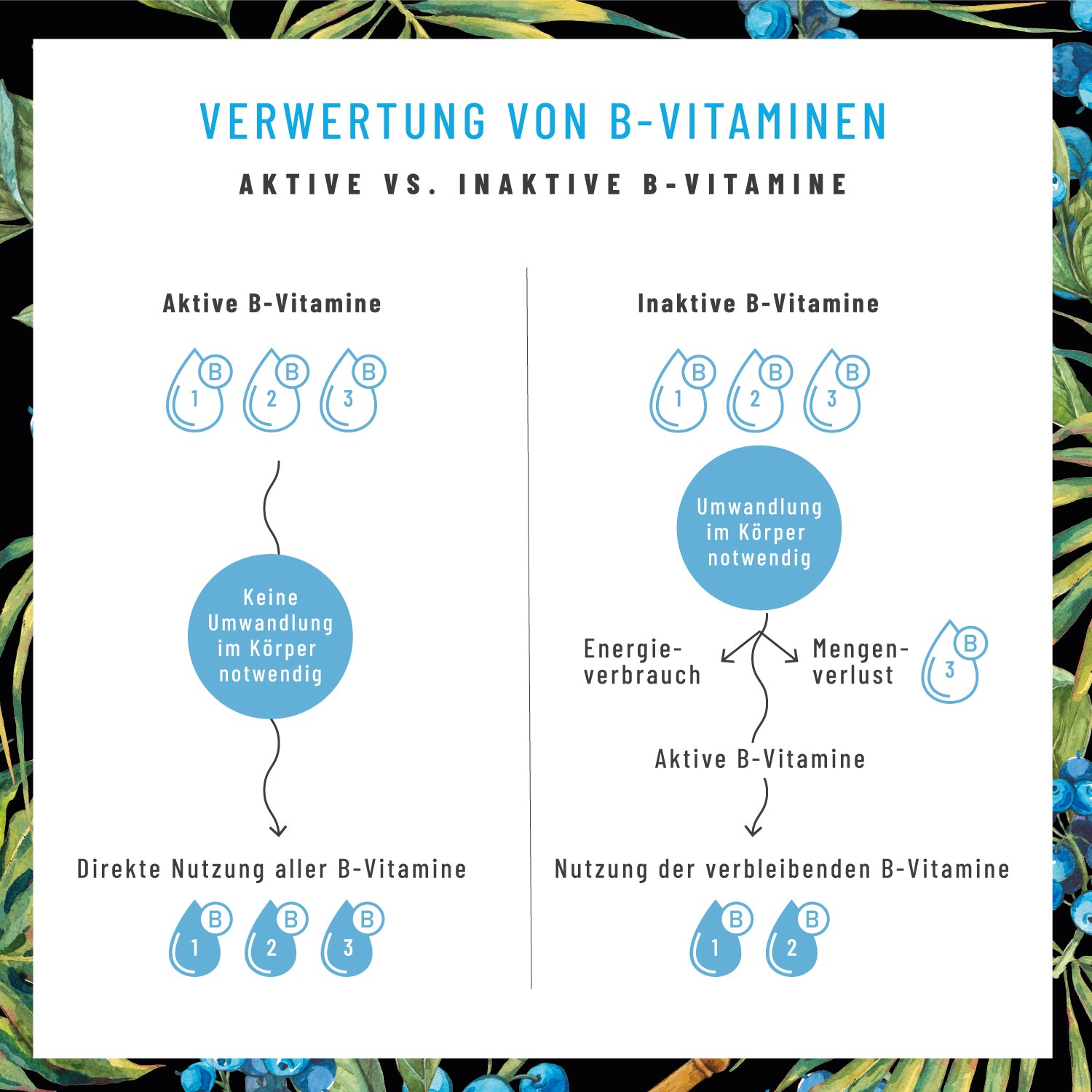 Nervenstark Vitamin-B-Komplex Verwertung Aktiv Inaktiv 