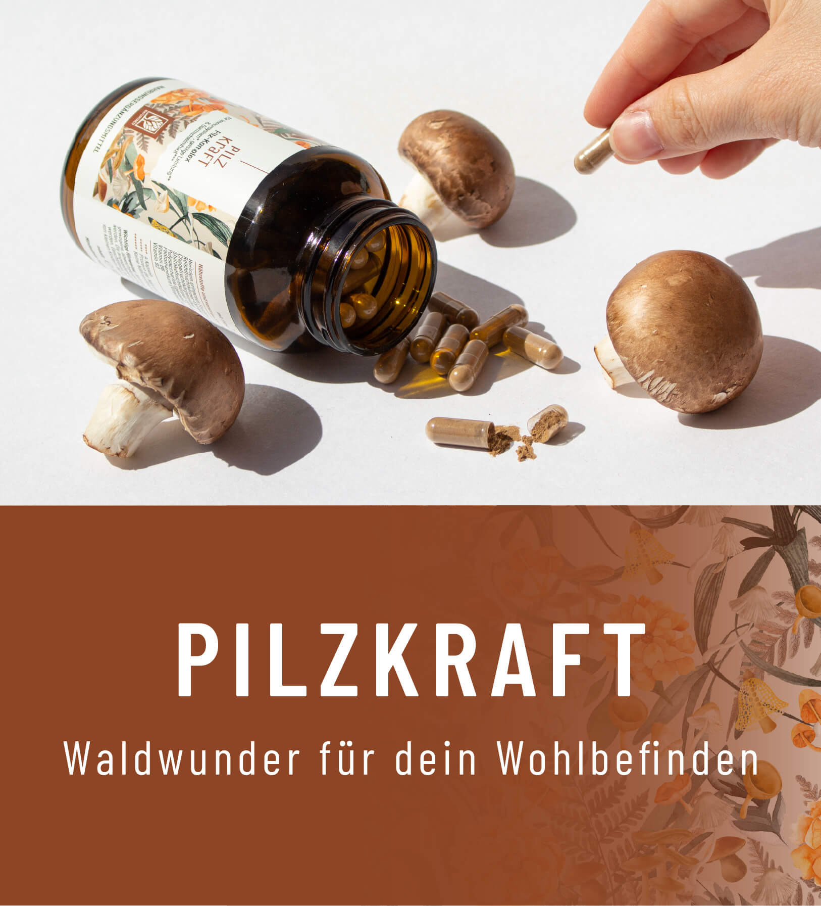 PIKR_Abo_Landingpage_header.jpg?v=175695