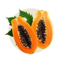 Papaya (Papain)