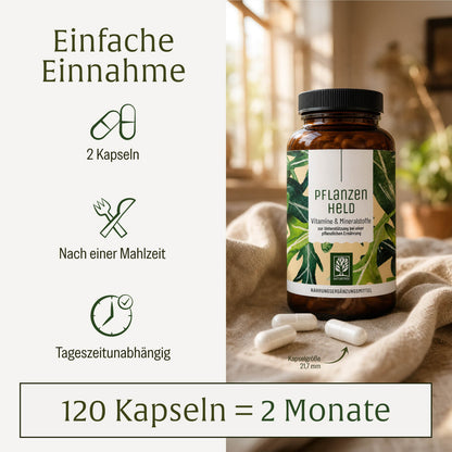 Pflanzenheld: All in One Multivitamin & Nährstoff-Komplex für Veganer