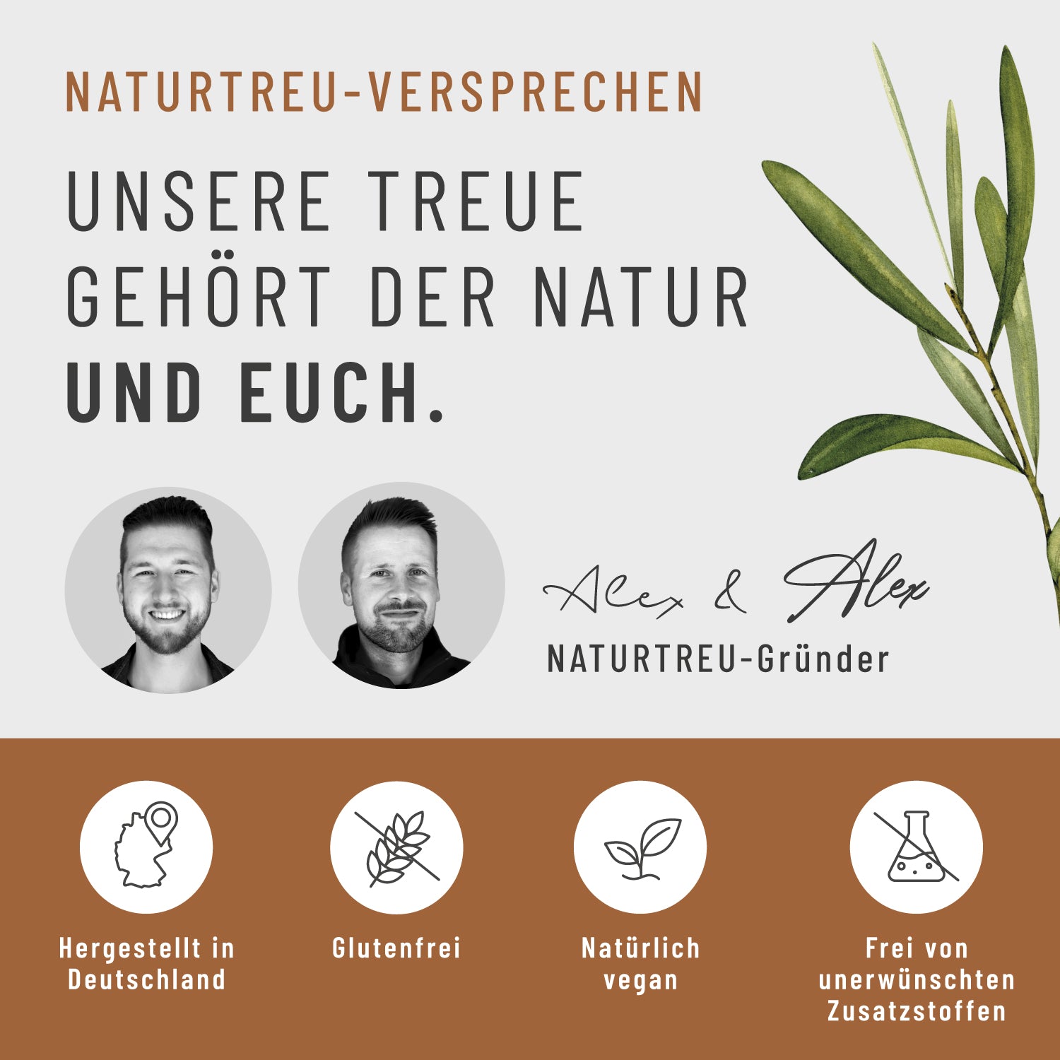 Pilzkaffee Kaffeegetraenkepulver Naturtreu Versprechen
