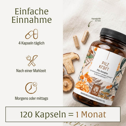 Pilzkraft: Reishi, Shiitake, Chaga & Löwenmähne 