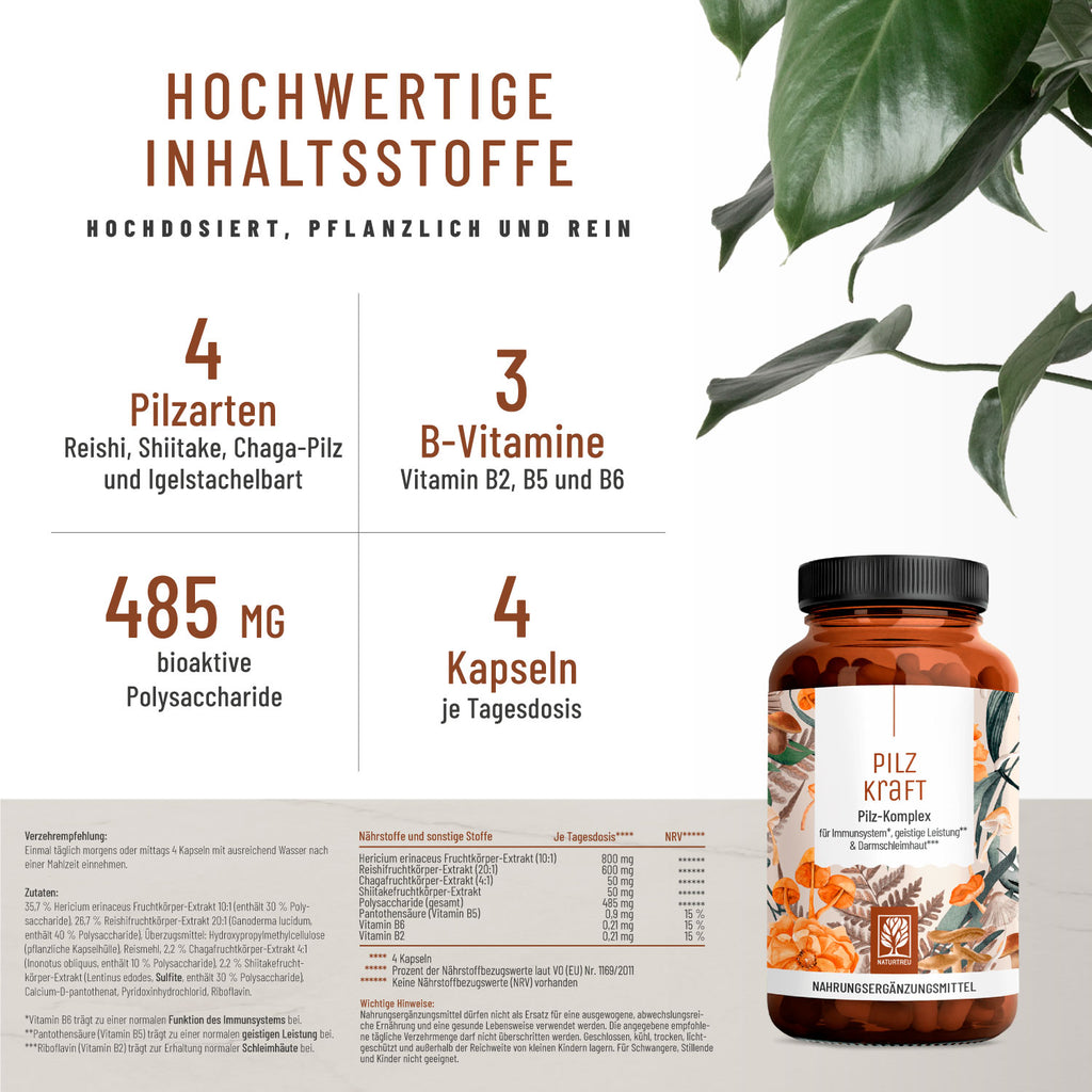 Pilzkraft Pilz-Komplex Hochwertige-Inhaltsstoffe 