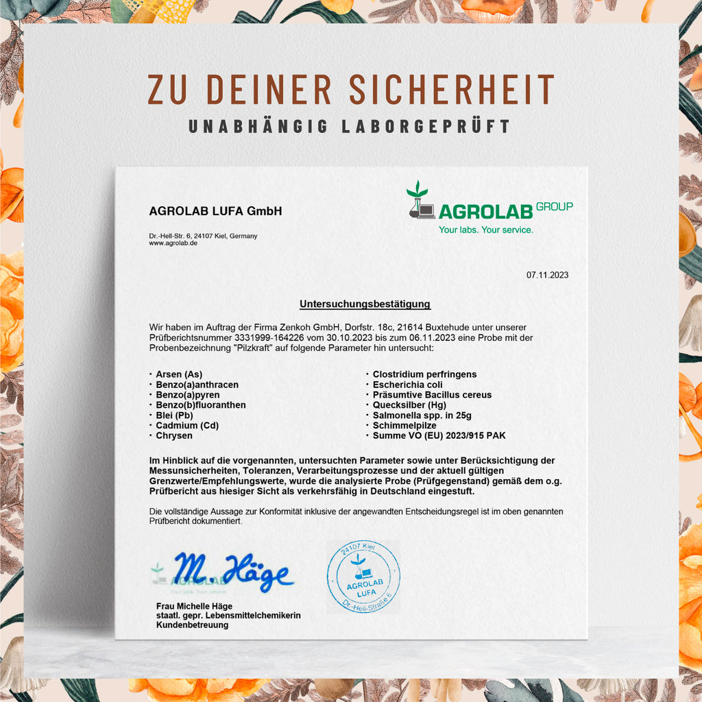 Pilzkraft Pilz-Komplex Laborzertifikat