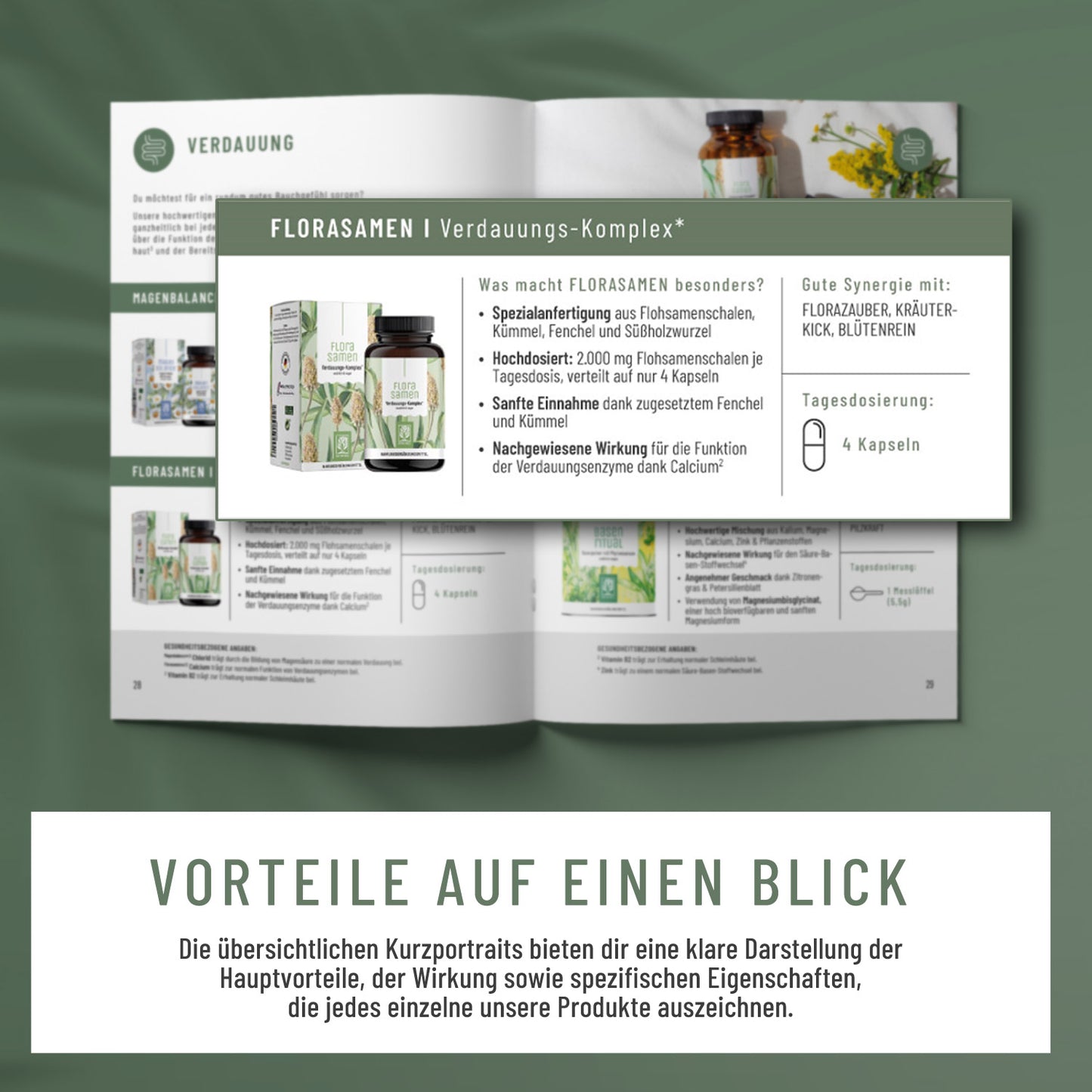 Produktkatalog Vorteile auf einen Blick 