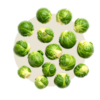 Rosenkohl