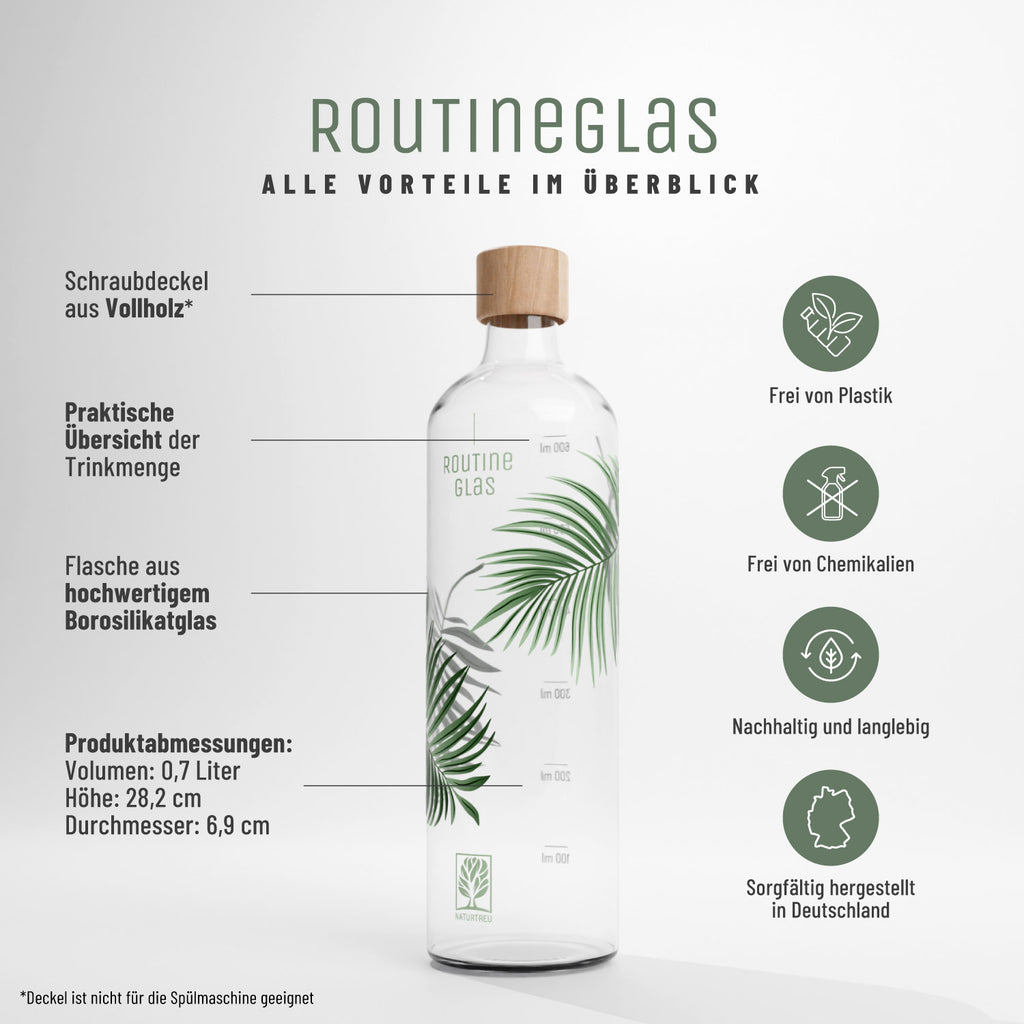 Routineglas nachhaltige Trinkflasche aus Glas Inhaltsstoffe