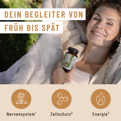 Ruhewurzel Ashwagandha mit KSM 66 Wirkung