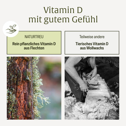 Sonnenkind: Vitamin D3 & K2 Tropfen für Kinder ab 4 (500 I.E.)