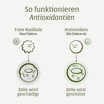 Schutzwunder: Antioxidantien-Komplex