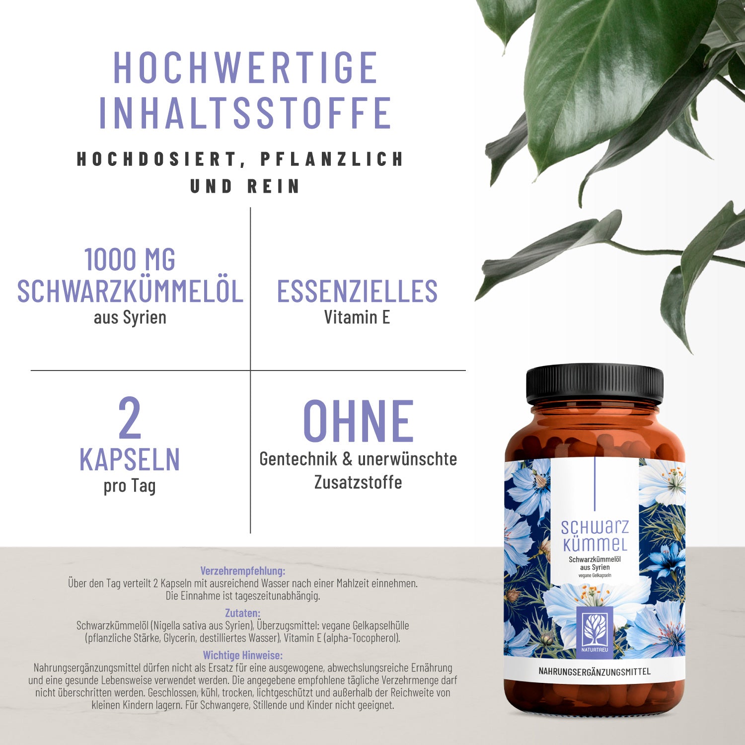 Schwarzkuemmel Schwarzkuummeloel Hochwertige Inhaltsstoffe
