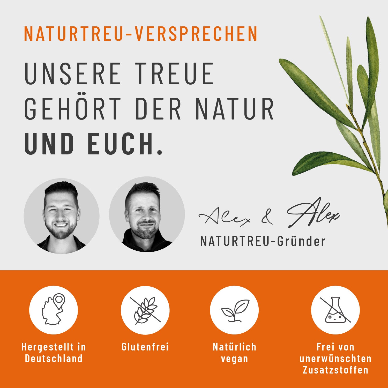 Sommerglanz Beta Carotin Onlineshop Naturtreu Versprechen