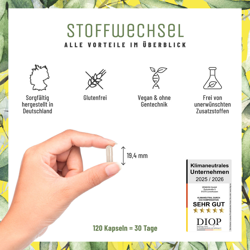 Stoffwechsel Metabolismus-Komplex Alle-Vorteile 