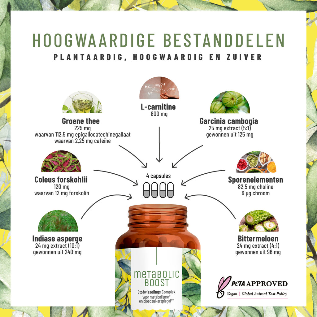 Stoffwechsel Metabolismus-Komplex NL Hochwertige Inhaltsstoffe