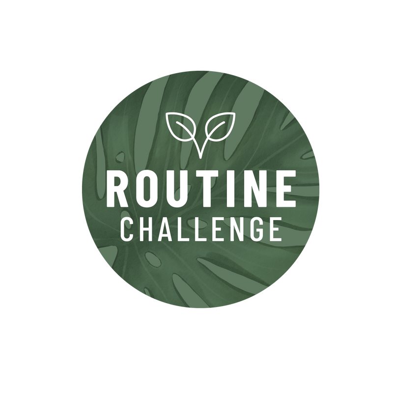 Störer_Grafik-Routinechallenge.png__PID:1acb5309-45d3-4f6b-a3c8-d19a734defe6