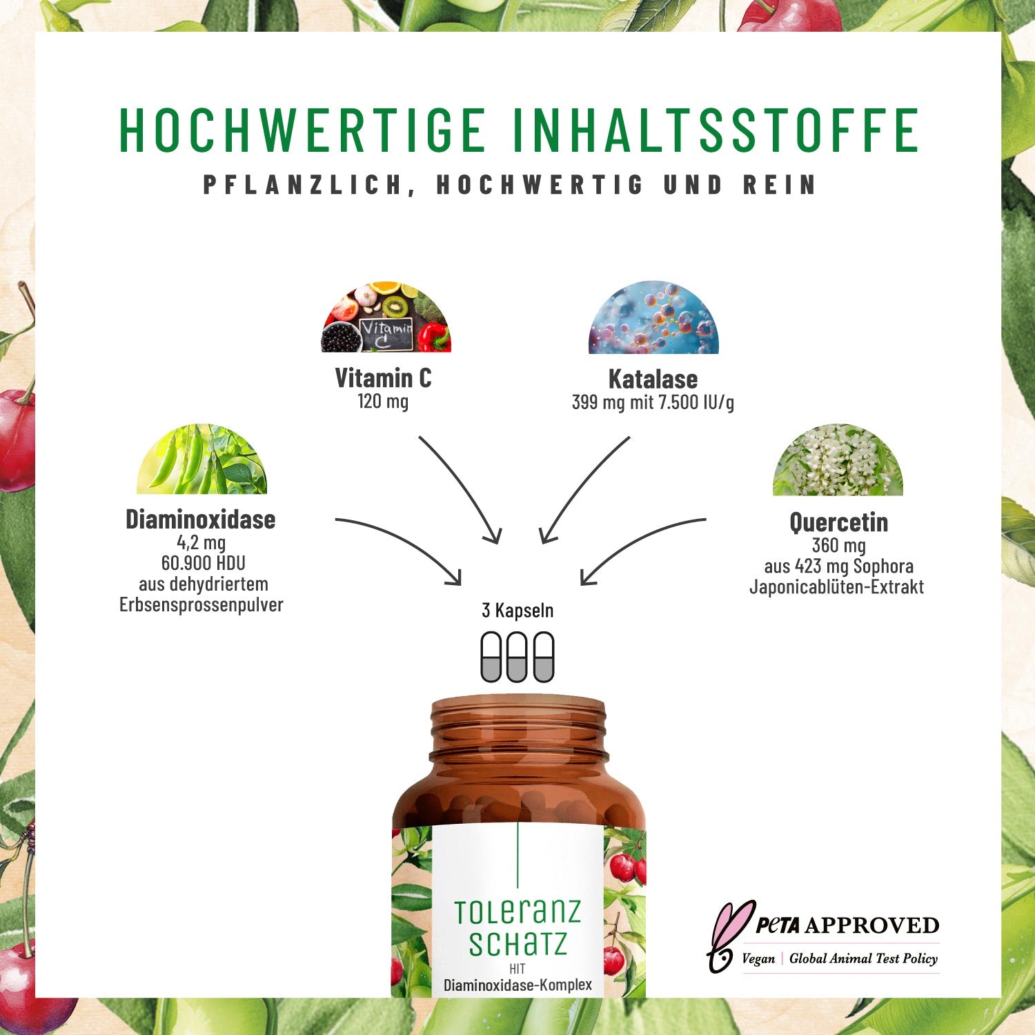 Toleranzschatz Diaminoxidase-Komplex Hochwertige Inhaltsstoffe