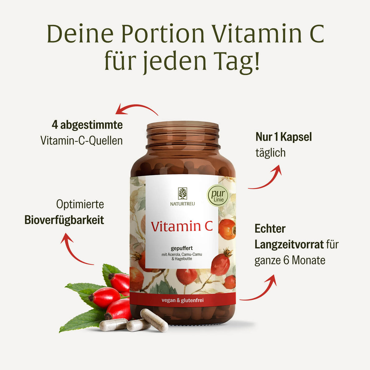 Vitamin-C-Komplex Hochwertige Inhaltsstoffe_DE