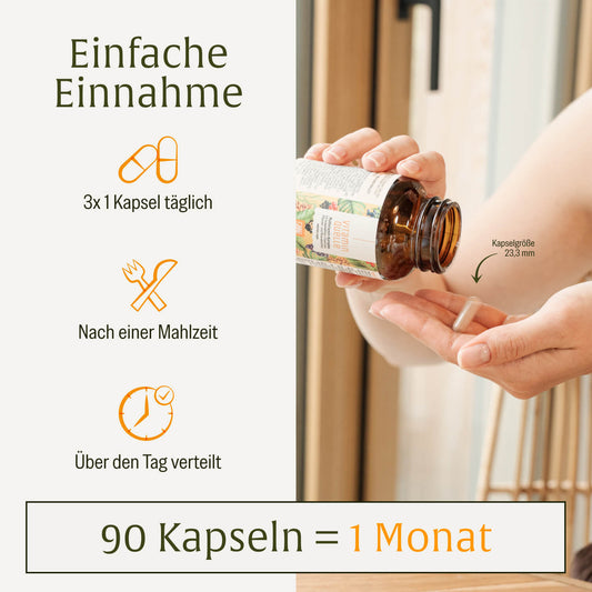 Vitaminquelle: All in One Multivitamin mit 35 Vitaminen, Pflanzen- & Mineralstoffen