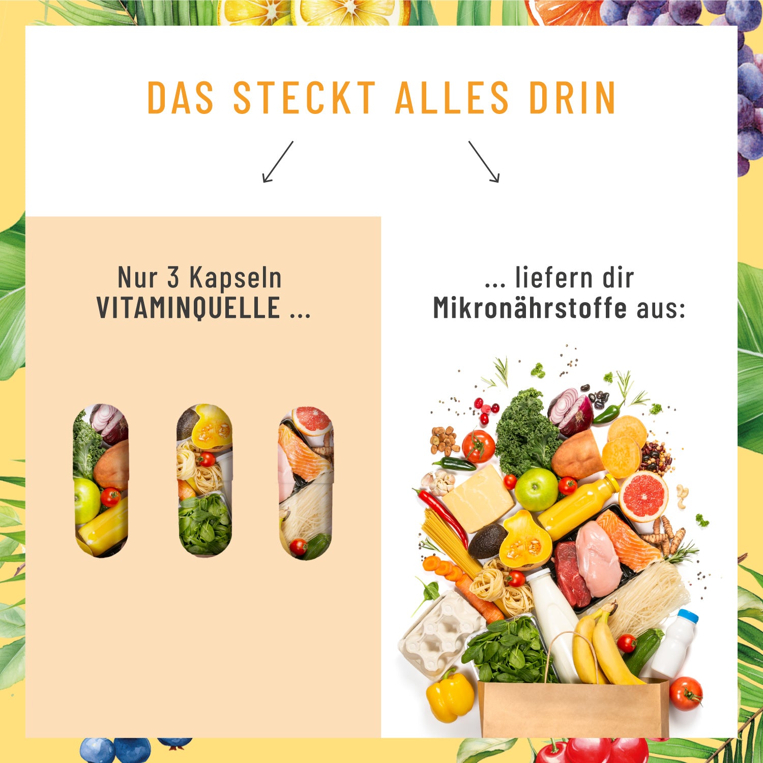 Vitaminquelle Multivitamin-Komplex Versorgung im Vergleich 