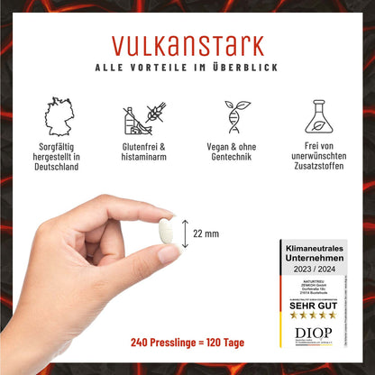 Vulkanstark MSM alle Vorteile
