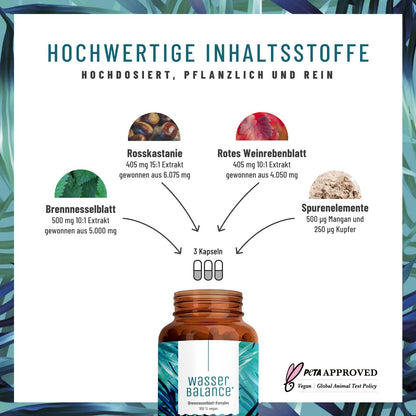 Wasserbalance Brennessel-Komplex  Inhaltsstoffe