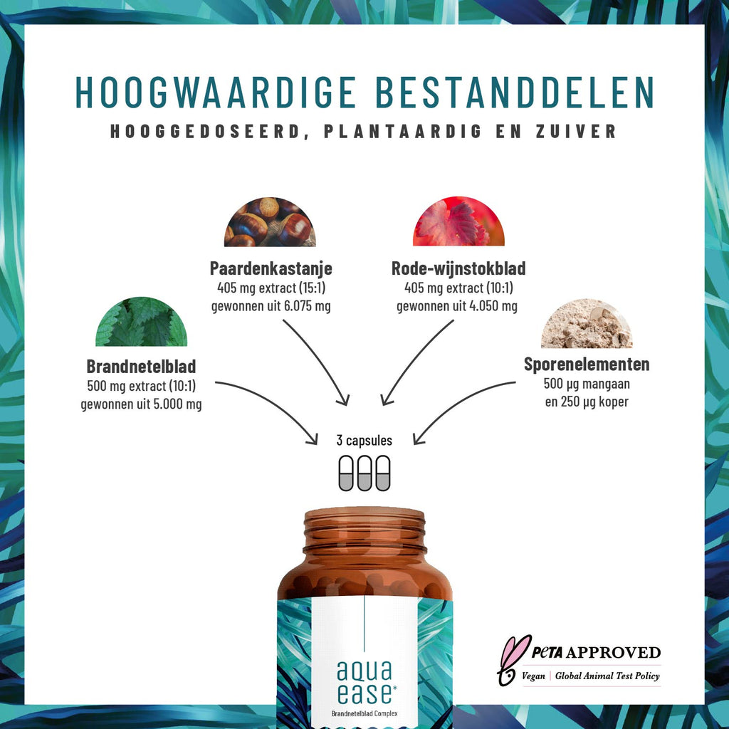 Wasserbalance Brennessel-Komplex Hochwertige Inhaltsstoffe NL Inhaltsstoffe