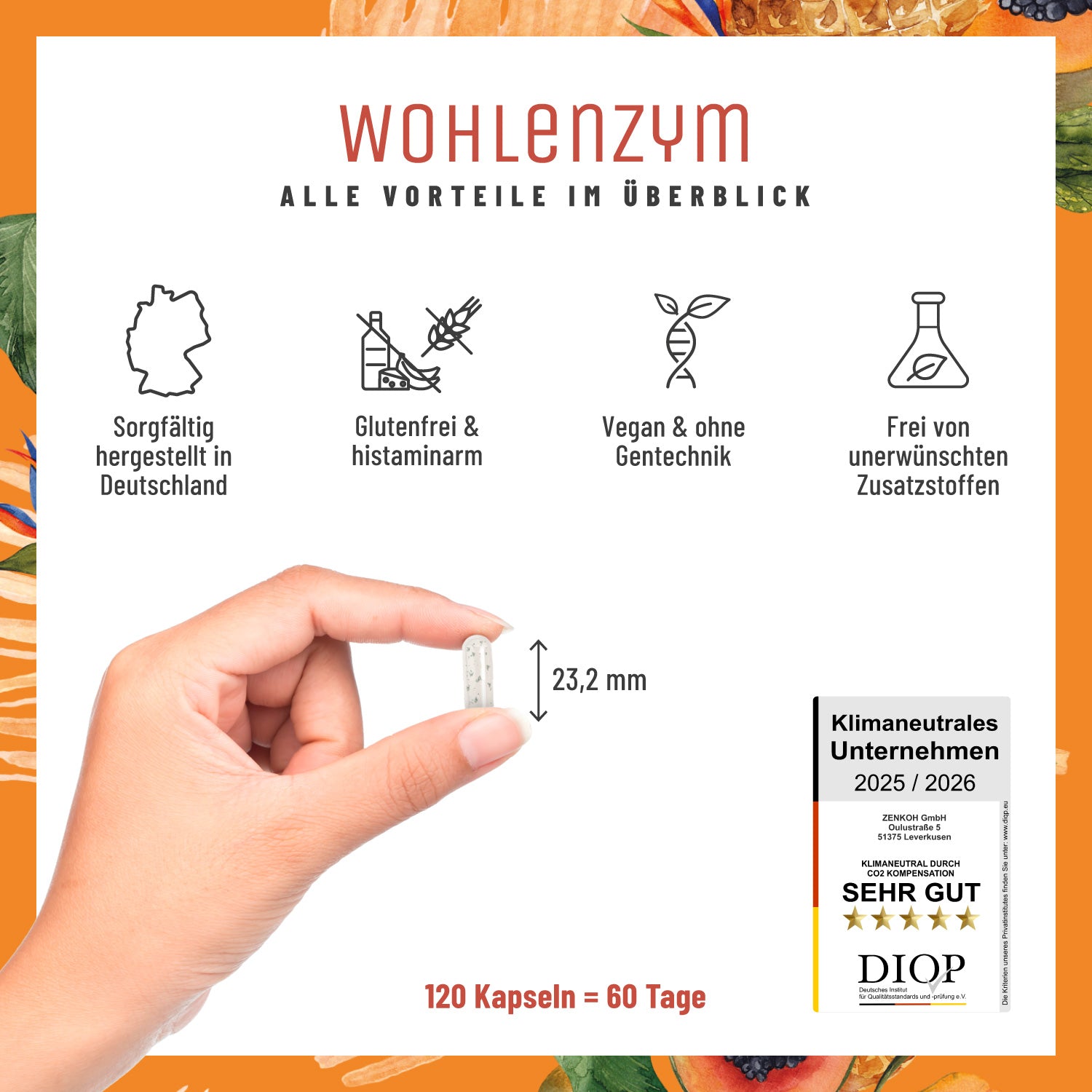 Wohlenzym Enzym-Komplex mit Bromelain Papain Alle Vorteile
