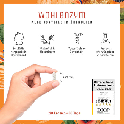Wohlenzym Enzym-Komplex mit Bromelain Papain Alle Vorteile
