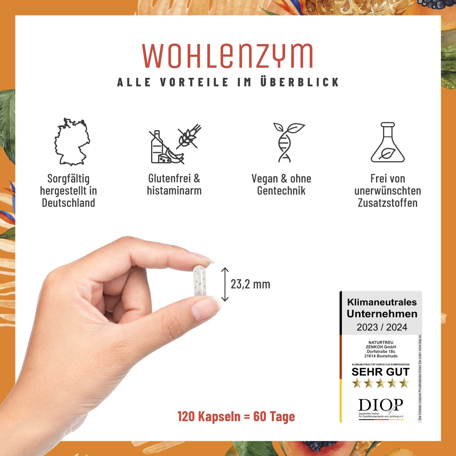 Wohlenzym Enzym Komplex mit Bromelain Papain Vorteile
