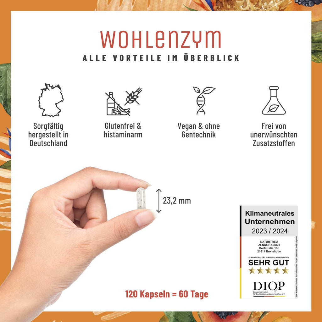 Wohlenzym Enzym Komplex mit Bromelain Papain Vorteile