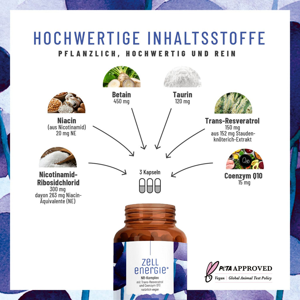 Zellenergie Creative DE Hochwertige Inhaltsstoffe