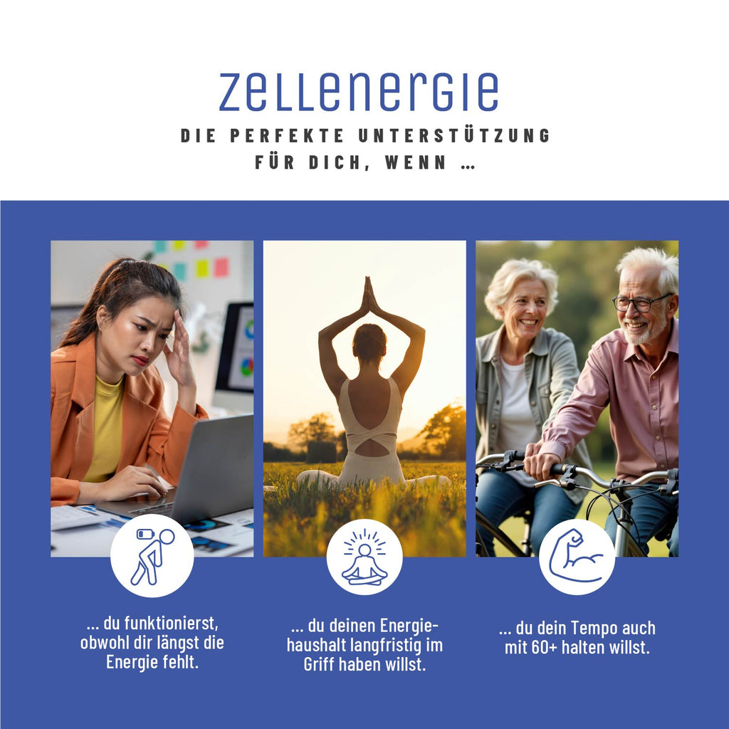 Zellenergie Creative DE Moodbild