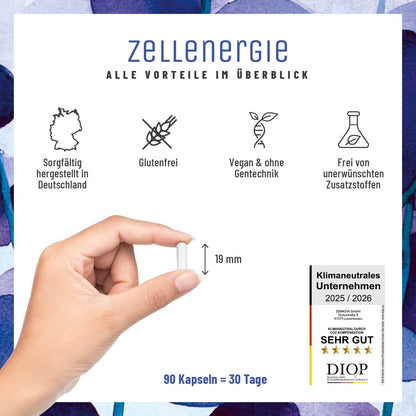 Zellenergie Creative DE Alle Vorteile im Ueberblick
