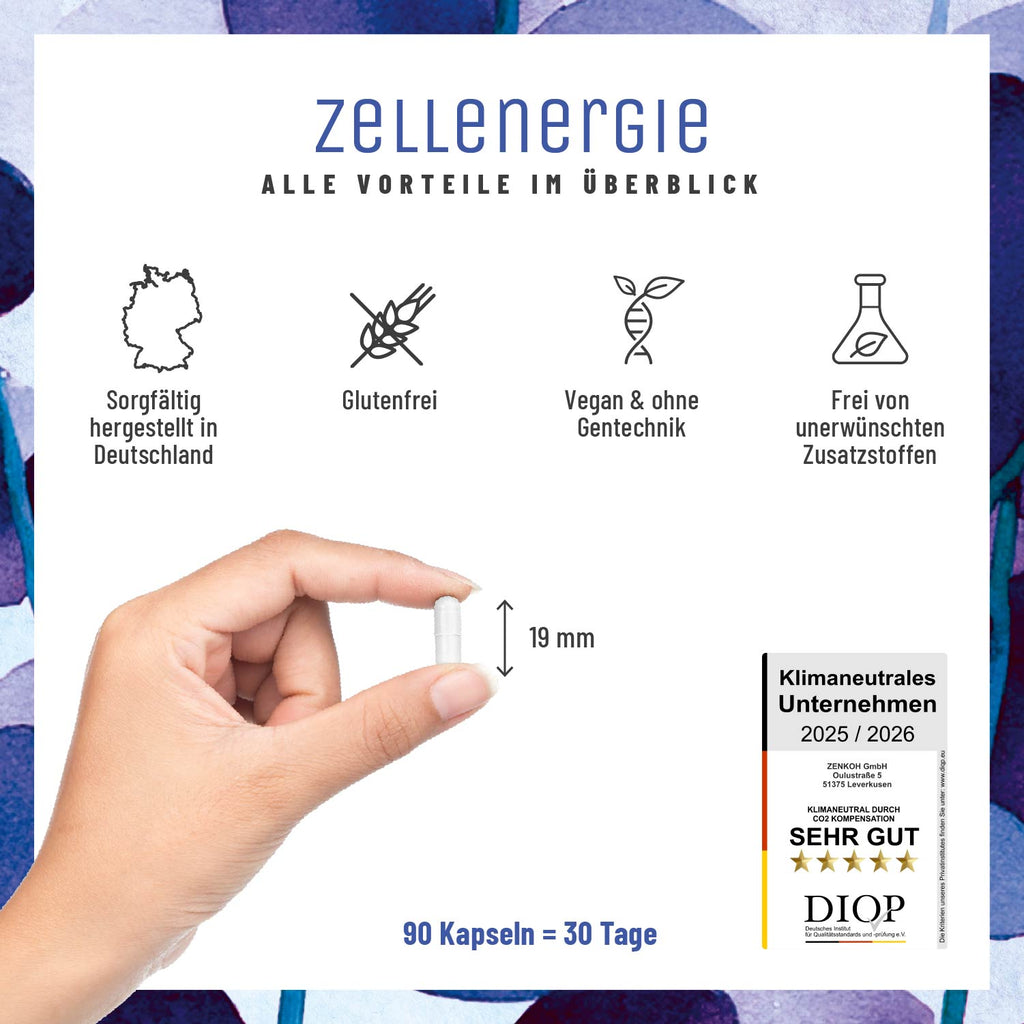 Zellenergie Creative DE Alle Vorteile im Ueberblick