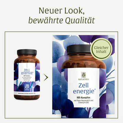 Zellenergie Creative DE Neues Design