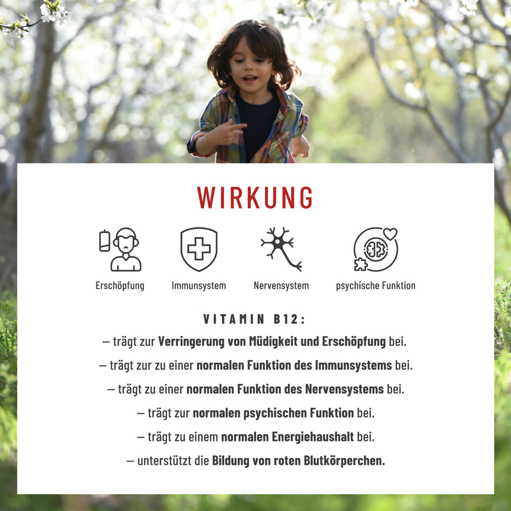 Zellknirps Vitamin B12 für Kinder Wirkung